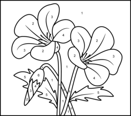 Campanula - Online Color by Number Page